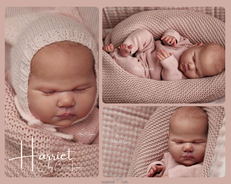 Harriet by Cassie Ann Love 