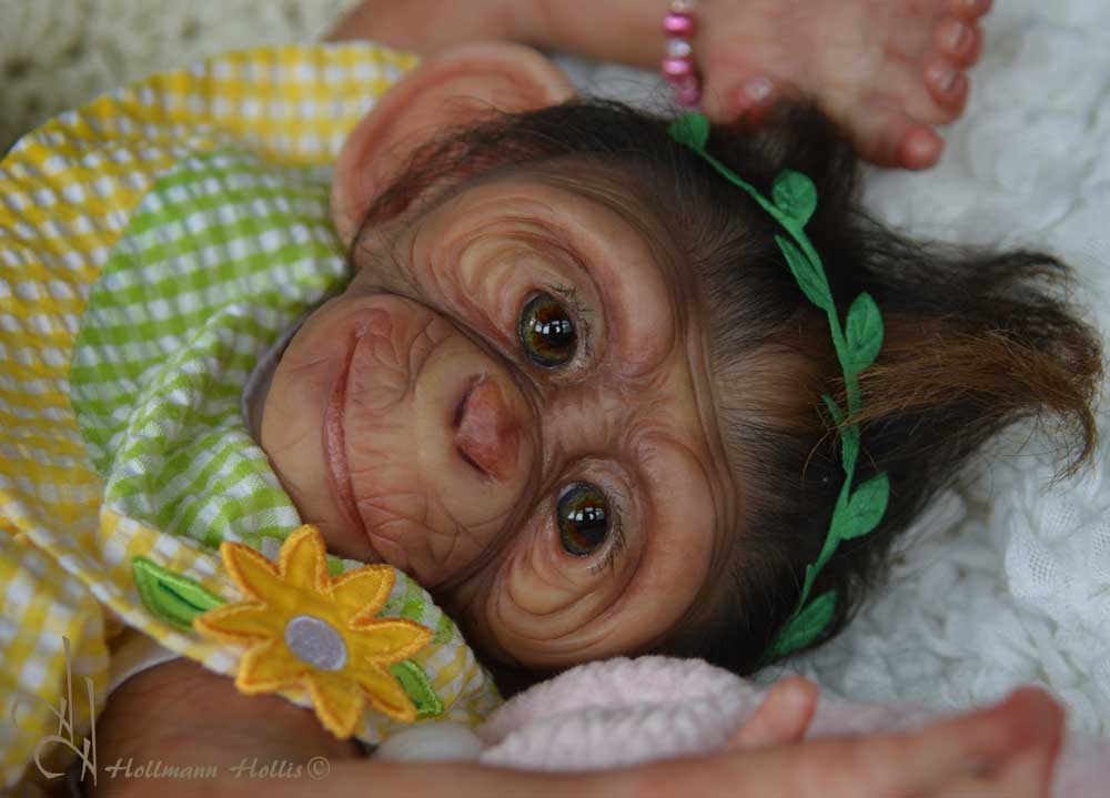 reborn chimpanzee