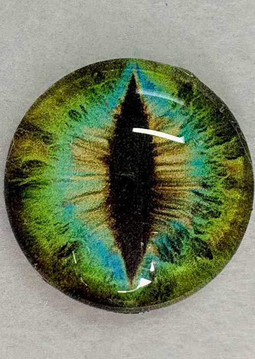 28mm Dragon Eyes ~ Peacock