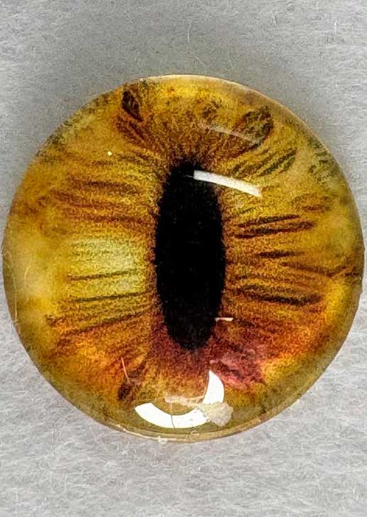 28mm Dragon Eyes ~ Tiger Eye
