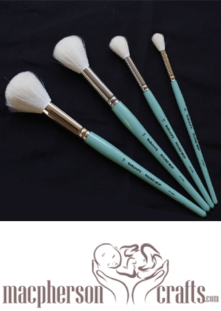 A Set of ReBornFX 4 Piece Round Mop Set