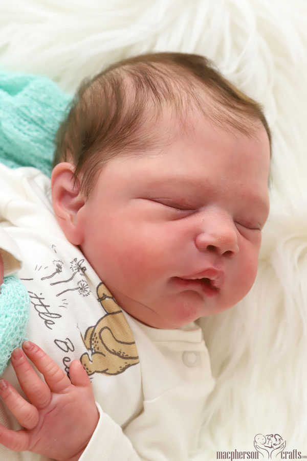 Alessandro by Cassie Ann Love