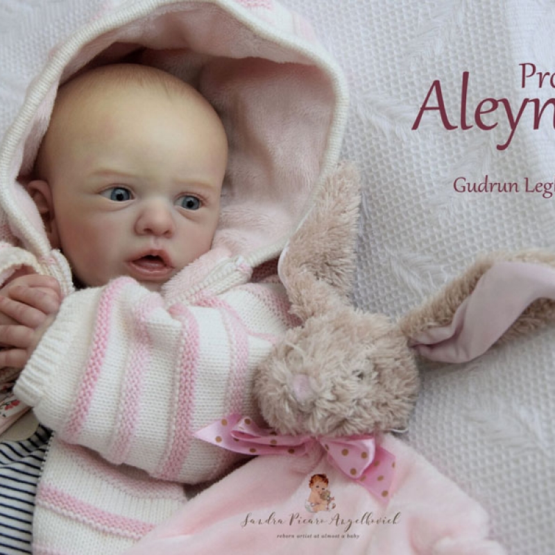 aleyna reborn kit