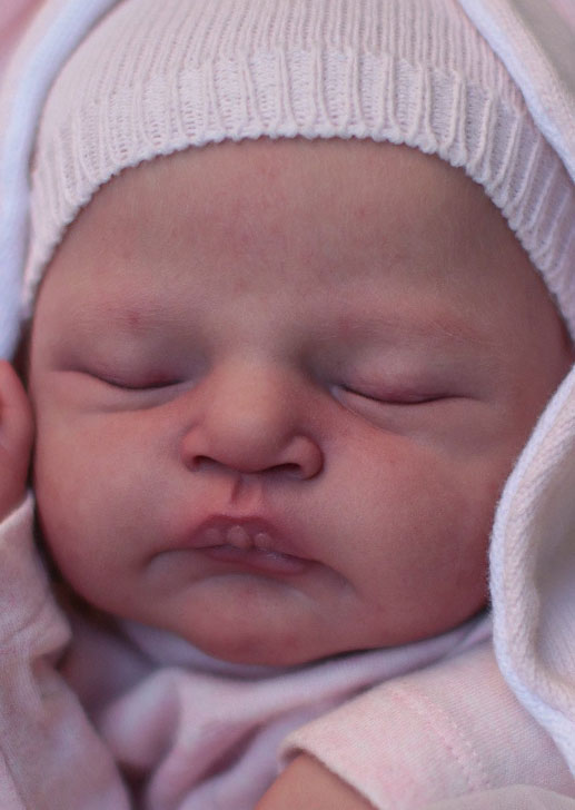 Alice by Cassie Ann Love