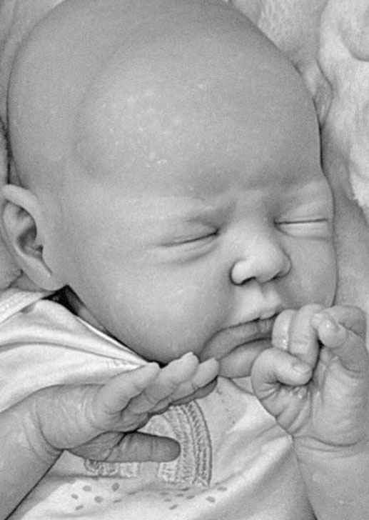 Arrow by Dawn McLeod