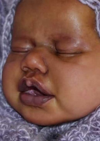 claire taylor dolls store