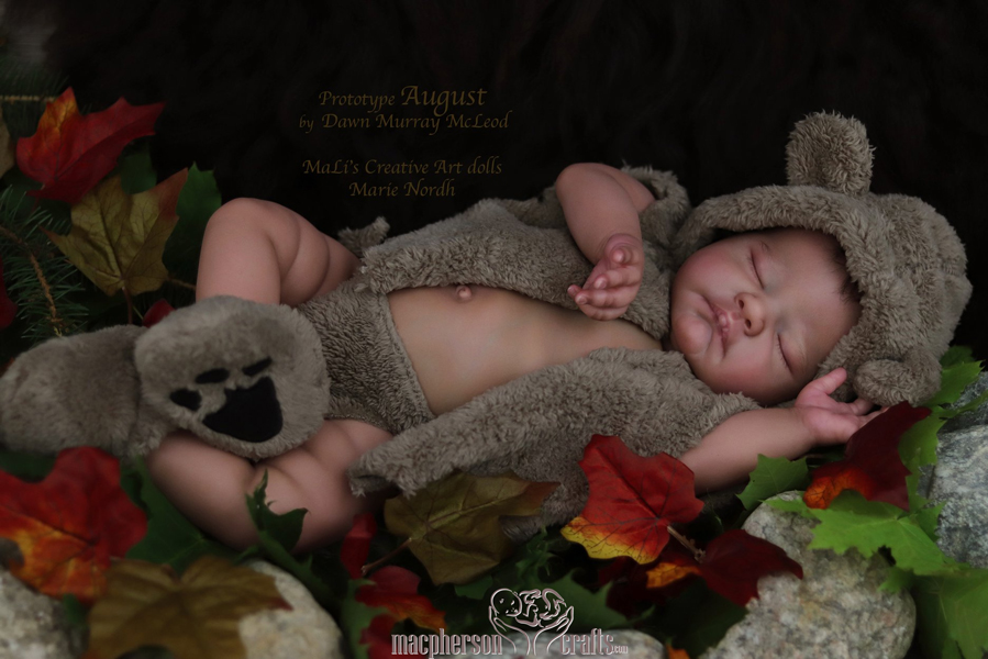 Reborn Baby Boy or Girl August Awake Scuplt by Dawn Mcleod 