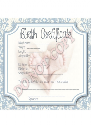 Reborn Doll Birth Certificates