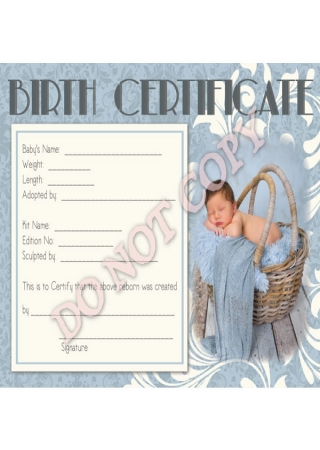 Reborn Doll Birth Certificates