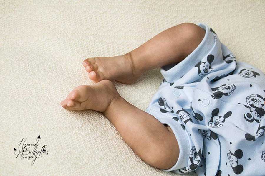 Calix by Michelle Fagan