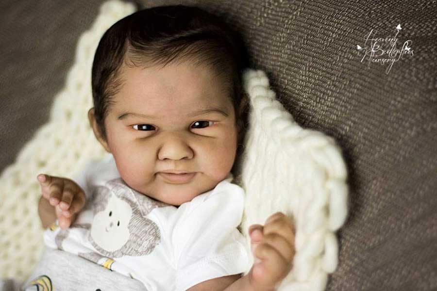 Calix by Michelle Fagan