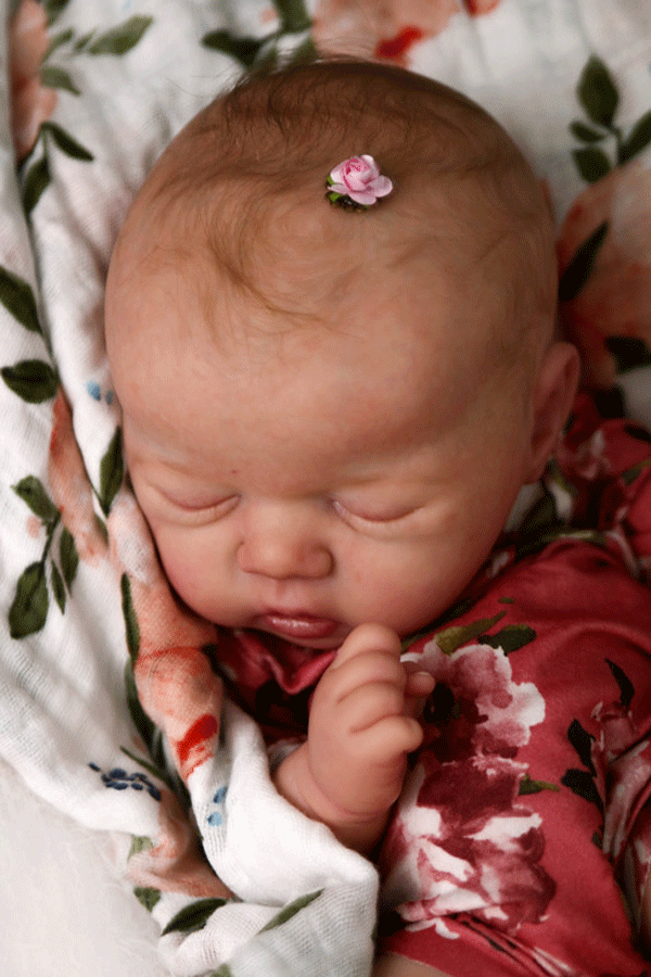 All Reborn Doll Kits Charlee by Sandy Faber