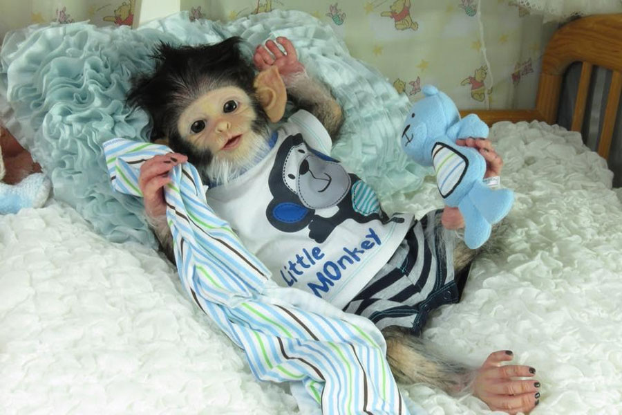 reborn monkey kits