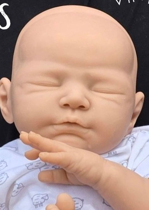 Cypress by Dawn McLeod