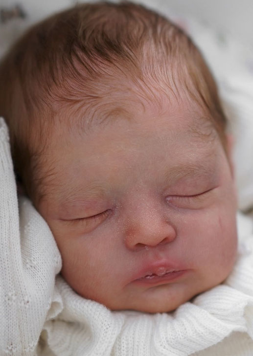 Daja by Bina Esmina Chaves