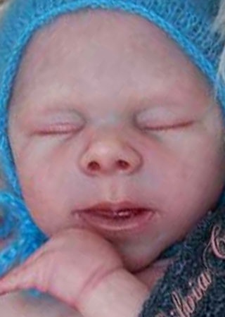 claire taylor reborn baby dolls