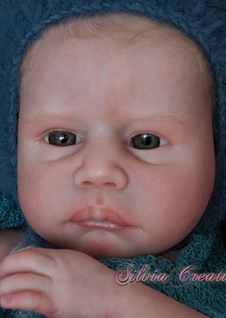 claire taylor reborn baby dolls