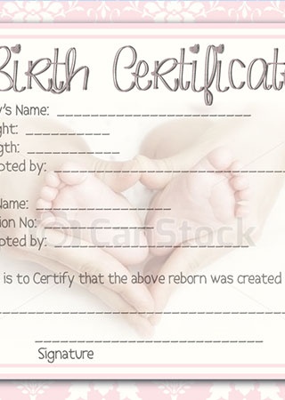 Reborn Doll Birth Certificate ~ Girl ~ Damask with Newborn Feet 