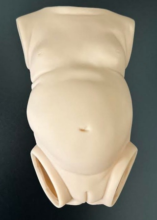 19 inch Girl Torso for Charlee, Meadow, & Blossom by Andrea Arcello 