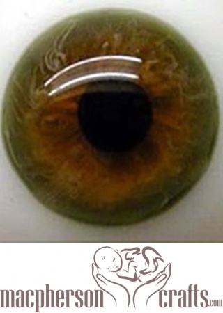 x22mm Half Round Real Life Glass Eyes -Green Brown
