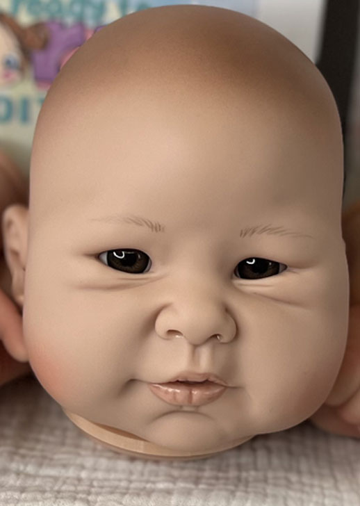 Jia Li 1/4 Limbs ~ beBorn DIY Kit