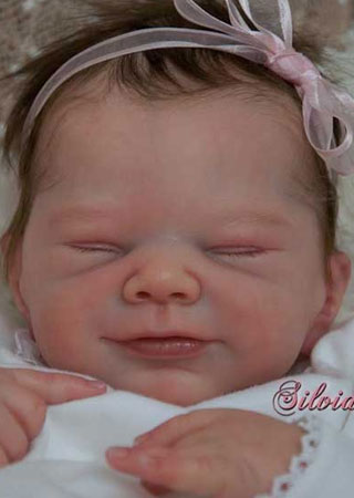 adrie stoete reborn
