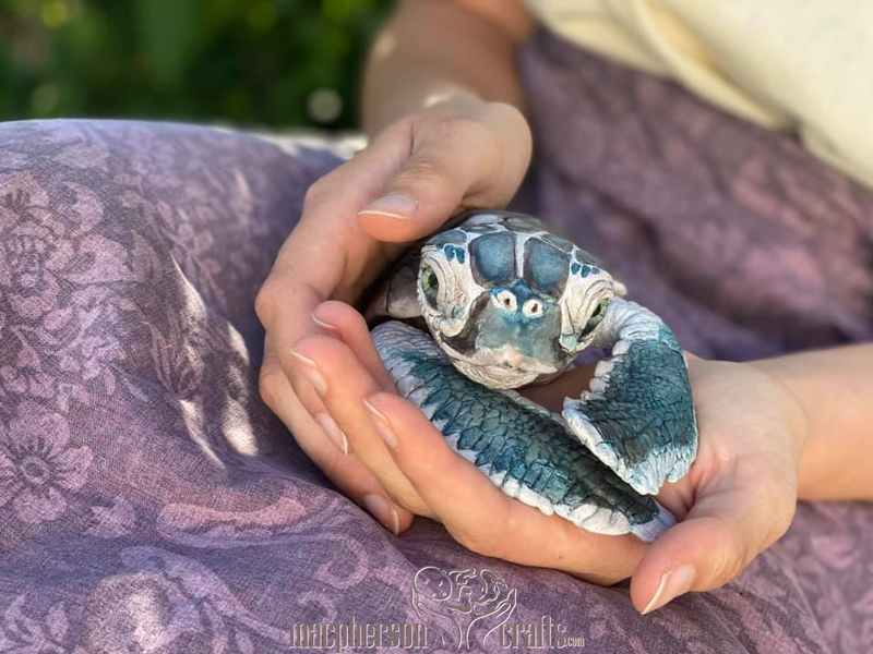 Kiwi by Cindy Musgrove