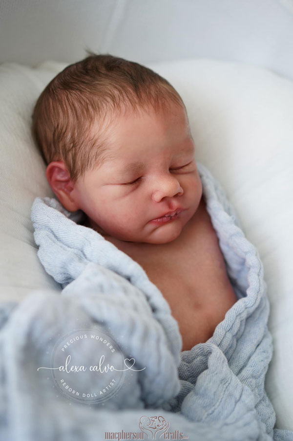 Lovan by Cassie Ann Love