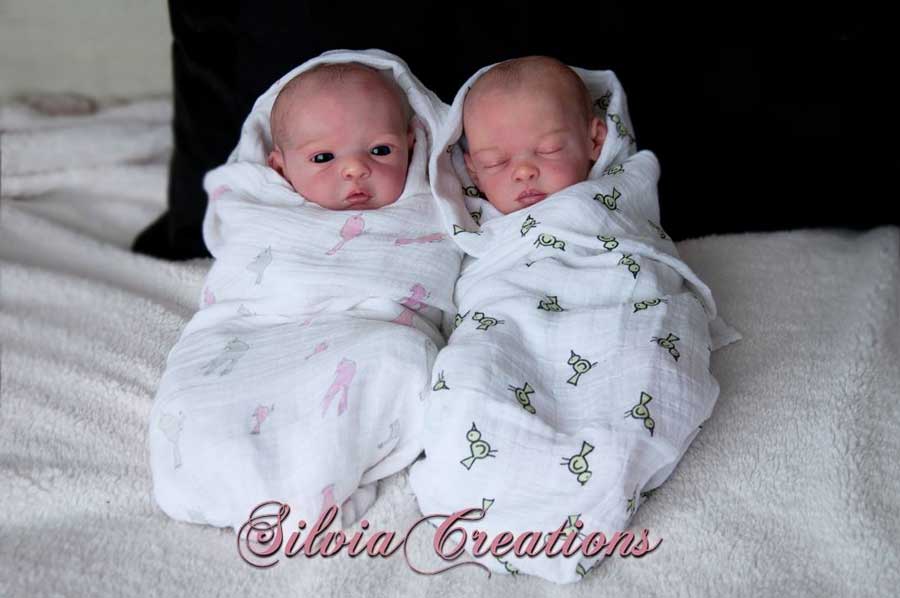 phil donnelly babies