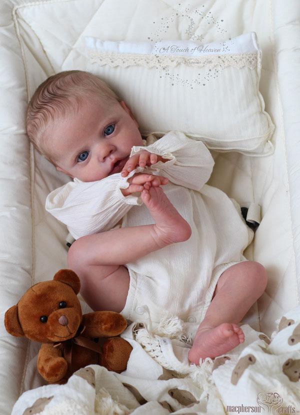Primrose Awake by Laura Lee Eagles