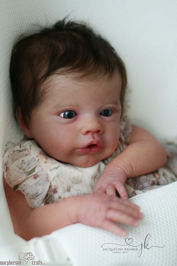 Primrose Awake by Laura Lee Eagles