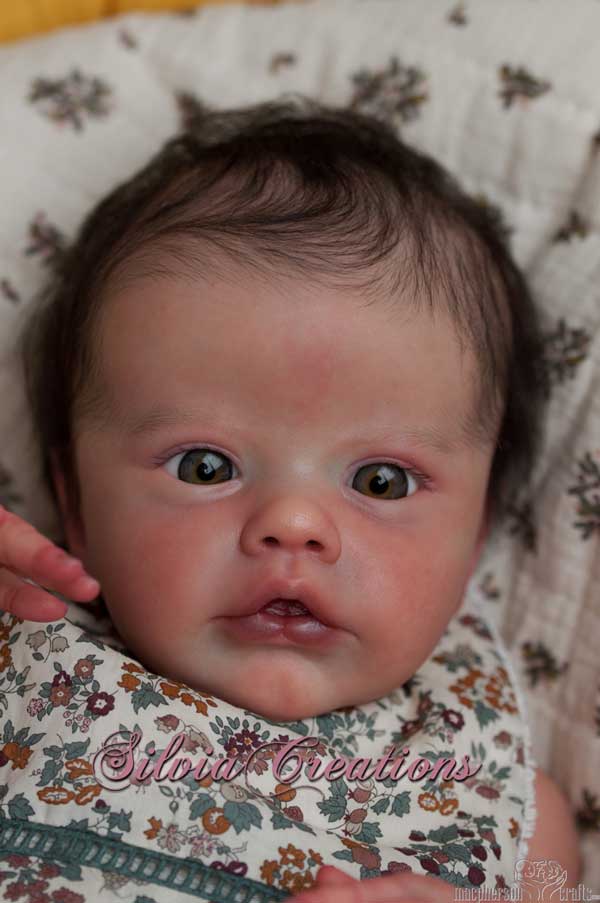 Primrose Awake by Laura Lee Eagles