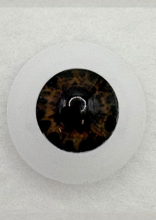Real Brand Eyes - Chocolate Brown ~ 18mm