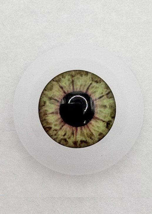 Real Brand Eyes - Golden Hazel ~ 24mm