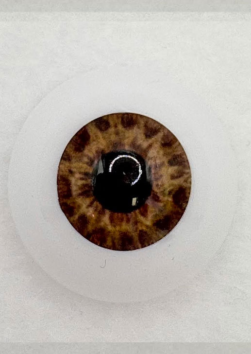 Real Brand Eyes - Tiger Eye Brown ~ 12mm