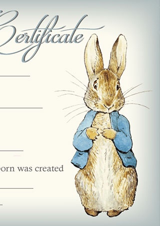Reborn Doll Birth Certificate ~ Boy ~ Beatrix Potter