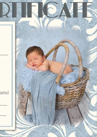 Reborn Doll Birth Certificate ~ Boy ~ Blue Damask with Newborn