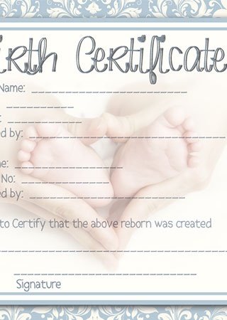 Reborn Doll Birth Certificate ~ Boy ~ Damask with Newborn Feet 