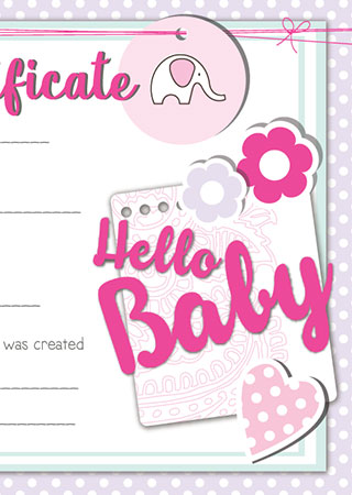 Reborn Doll Birth Certificate Girl Hello Baby