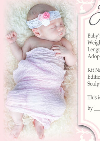Reborn Doll Birth Certificate ~ Girl ~ Pink Damask with Newborn