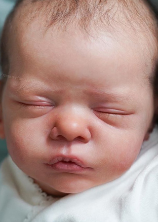 gudrun legler reborn