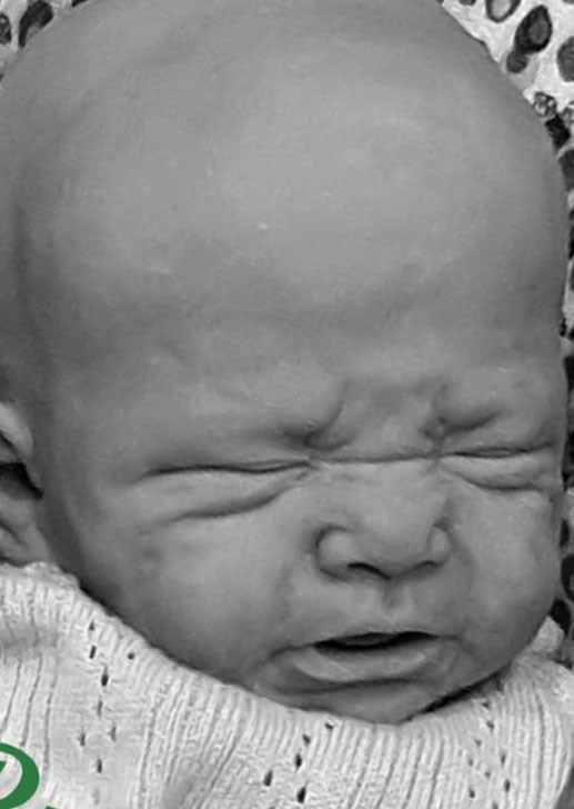 Rudy by Severine Piret