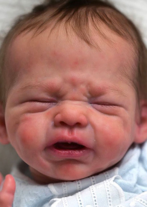 Rudy by Severine Piret