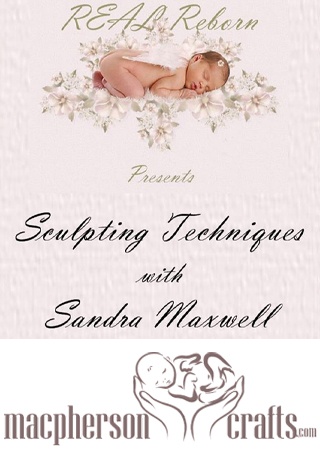 Sculpting Techniques  by Sandra Maxwell - DVD