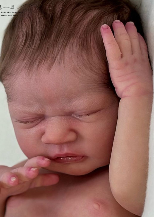 Tulipa by Priscila Lopez