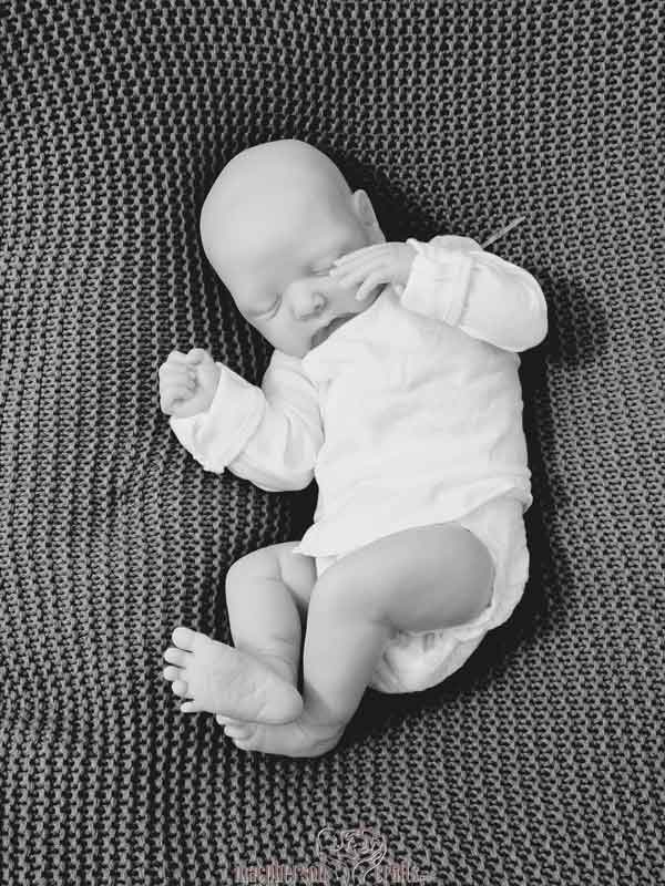 Wilby by Cassie Brace