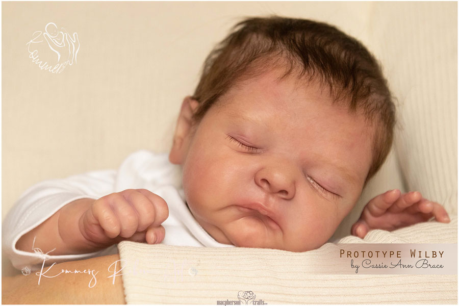 Wilby by Cassie Brace