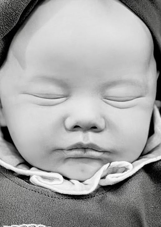 Winslow by Laura Lee Eagles