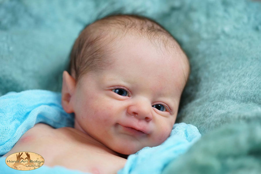 flynn by laura lee eagles