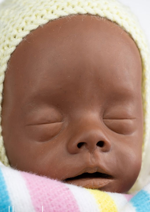 Lula by Bonnie Brown 